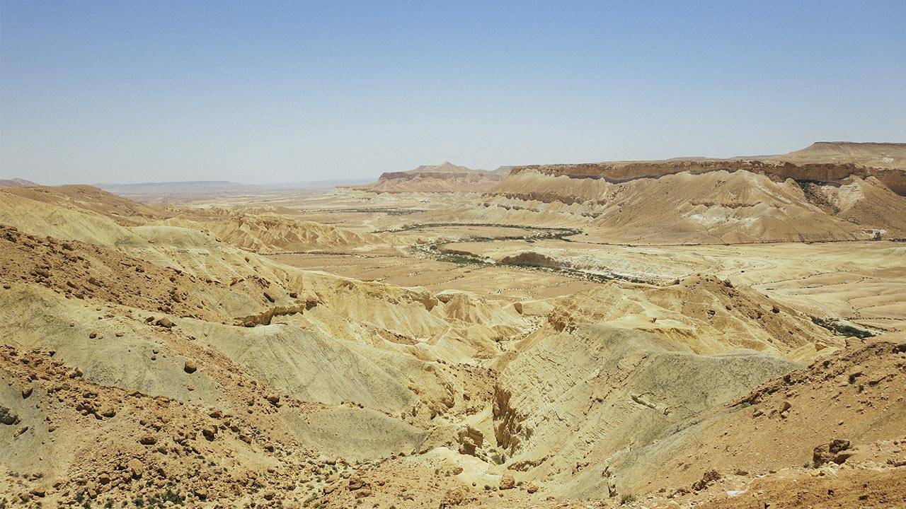 The Negev 